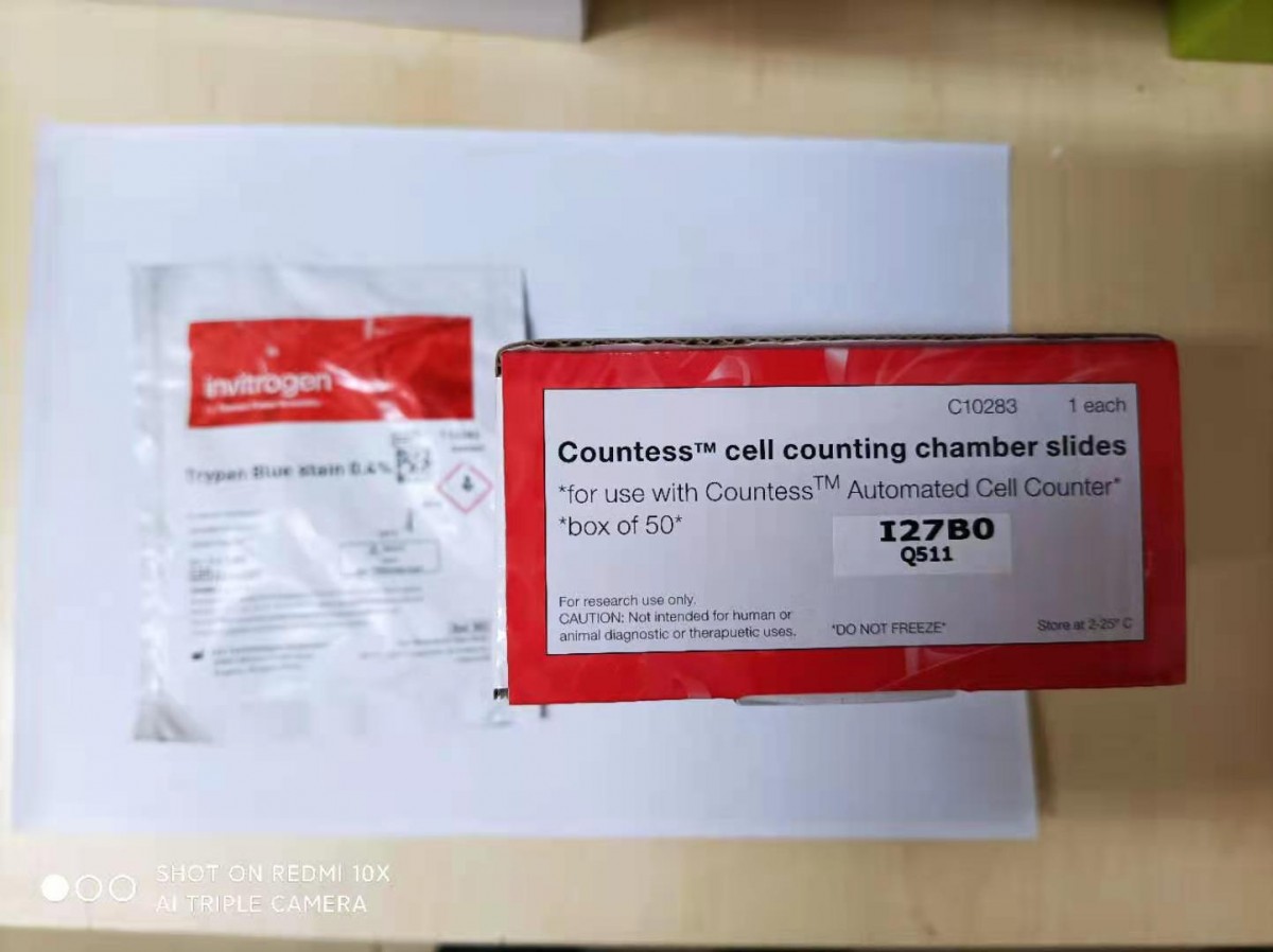 countess cell counting chamber slides(for countessII and countessIII